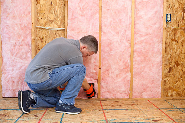 Best Insulation Contractor Near Me  in Temple Hills, MD